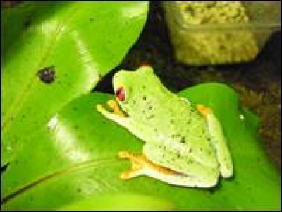 image002