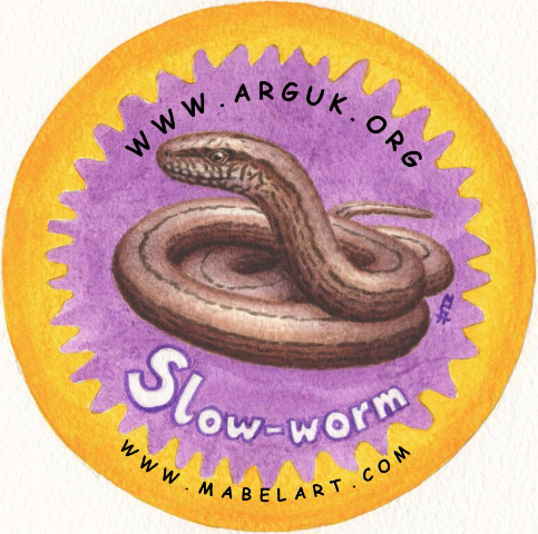 Slow worm