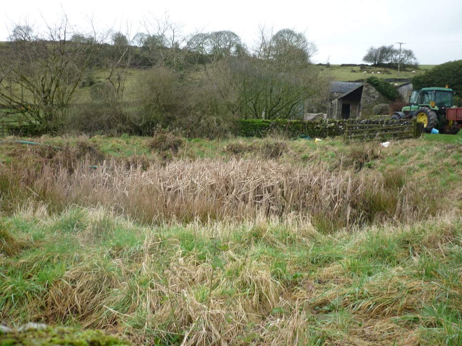 Hoe Grange pond before restoration