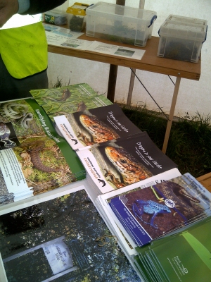Amphibian & Reptile Conservation at RSPB Wild Outdoors Day 2011