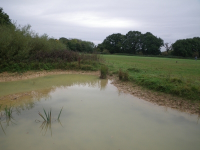 Merrymeades pond in Oct 2010