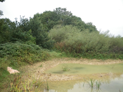 Merrymeades Pond Oct 2010