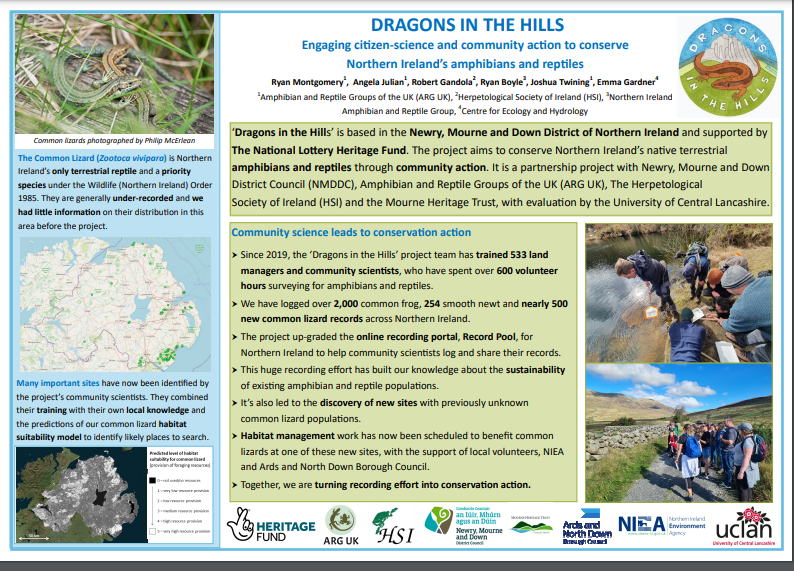 Dragons in the Hills Poster