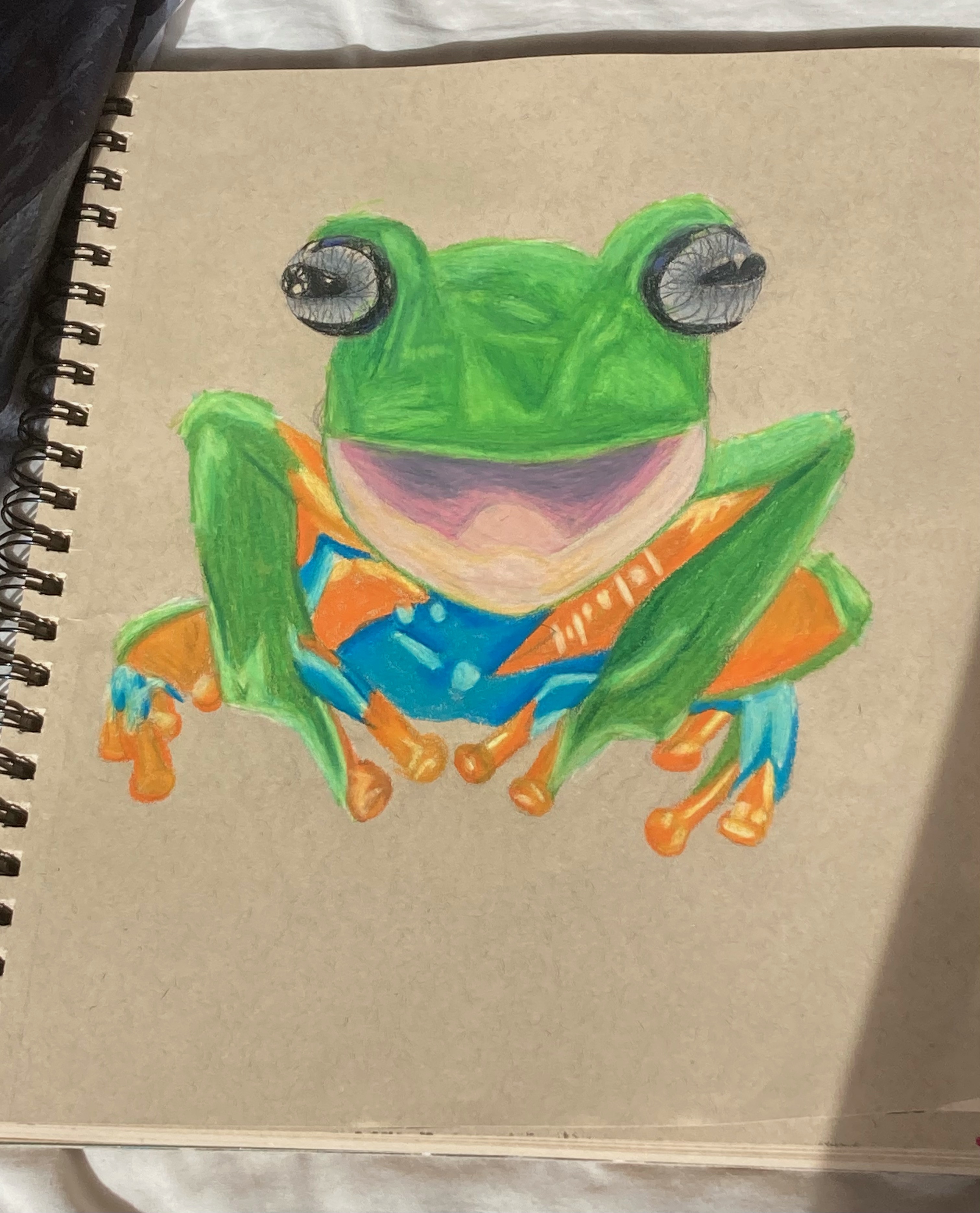 Smiling frog