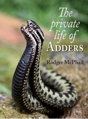 Pirvate_life_of_Adders
