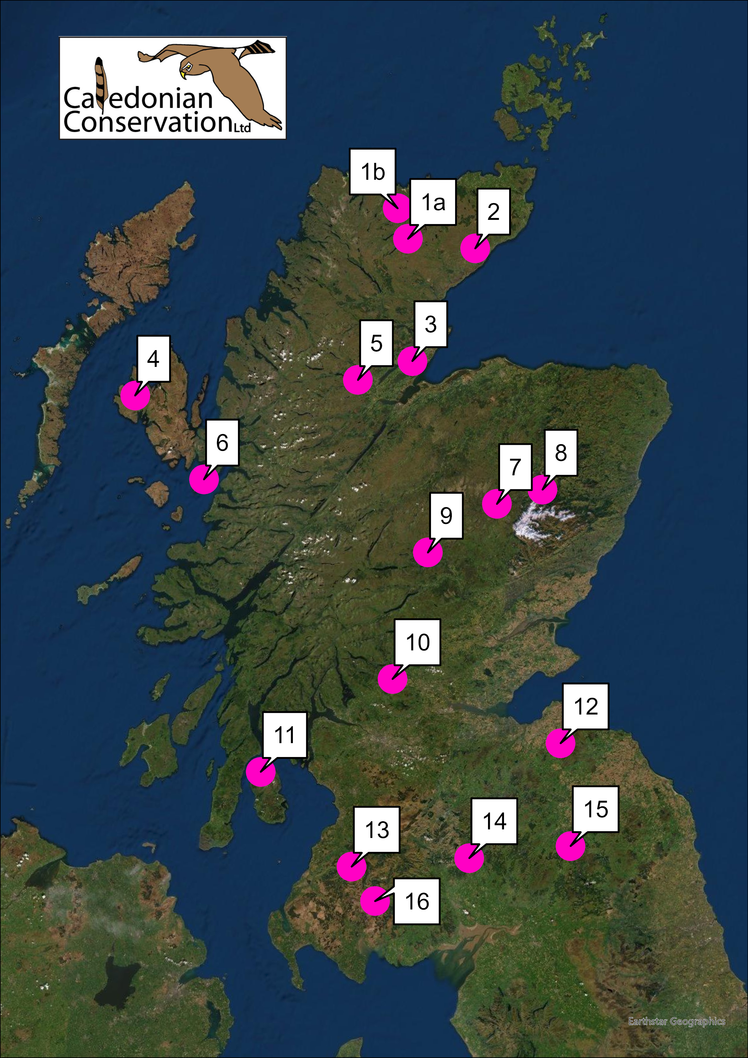 Adder Survey Original17 20211030 image copyright Chris Cathrine