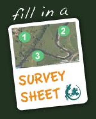 Survey_Sheet