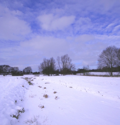 a frozen pond in Suffolk