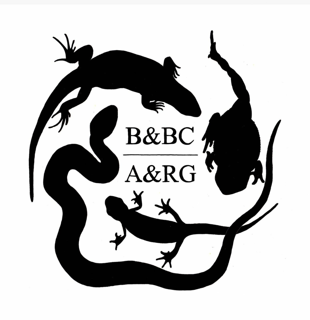 BBC ARG logo