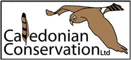 Caledonian Conservation