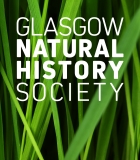 GNHS Logo Grass
