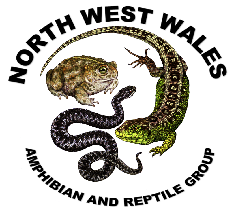 NWWARG logo