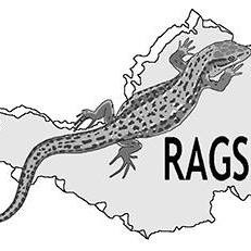 Somerset RAGS logo