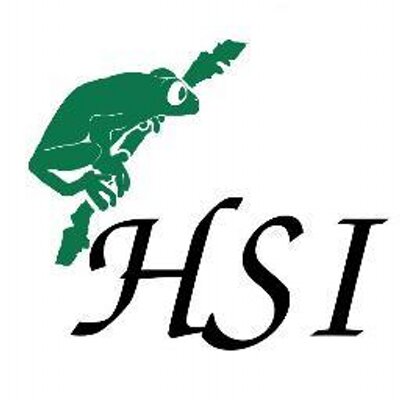 HSI logo 2