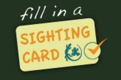 sighting_card