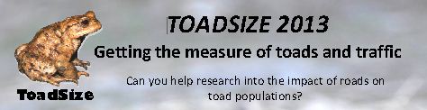 toadsize2013