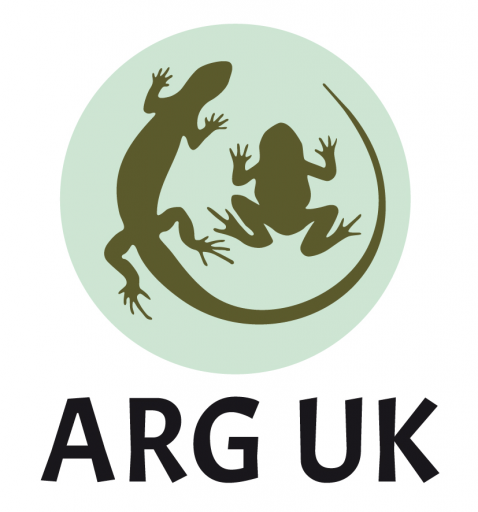 ARG UK Logo circle colour vertical